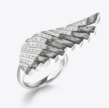 Load image into Gallery viewer, Wings Rising Meteorite Earrings and Ring
